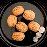 Walnut In Shell
